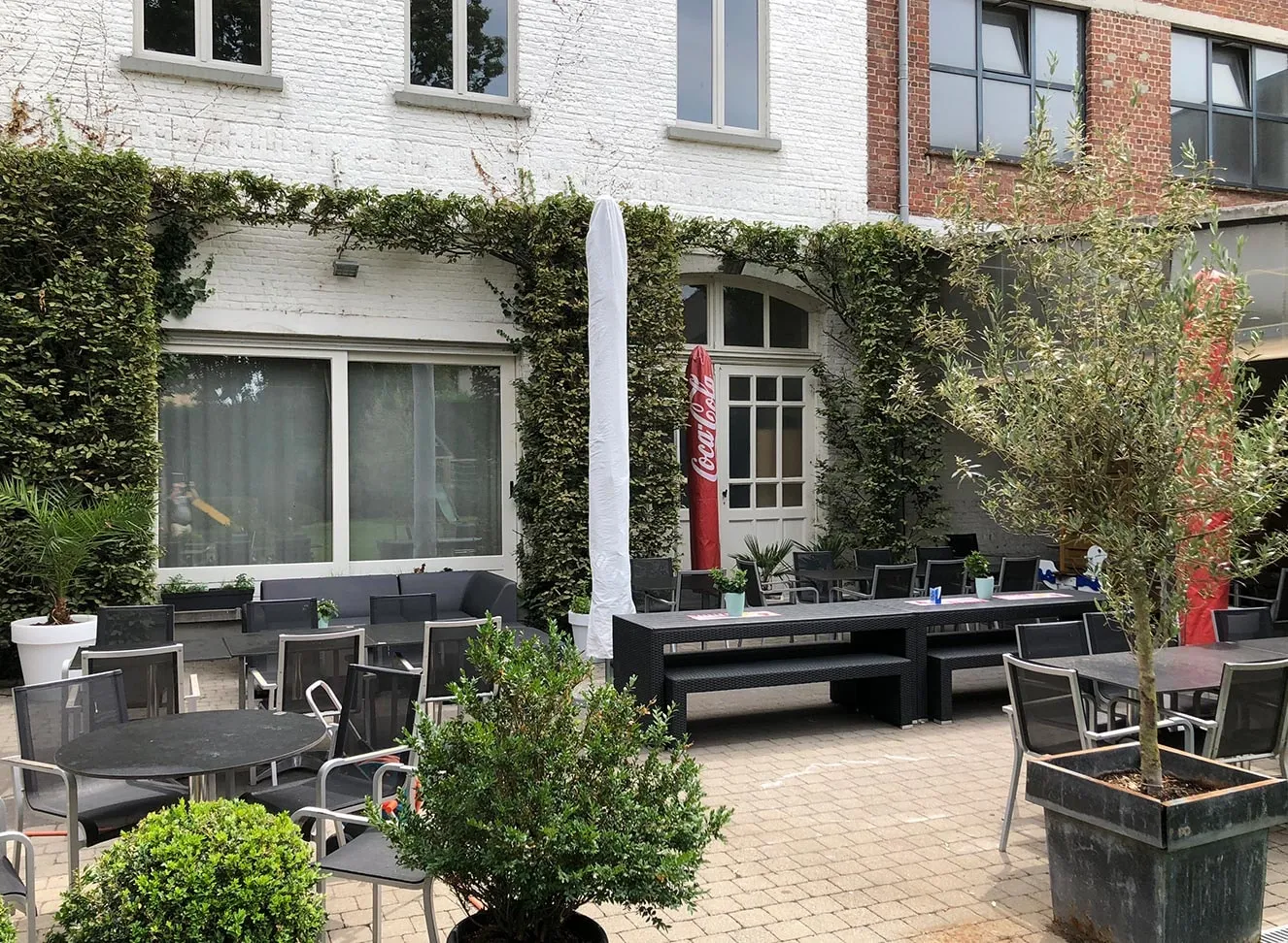 Tafels en stoelen in de binnentuin, met een olijfboom en klimop tegen de muren