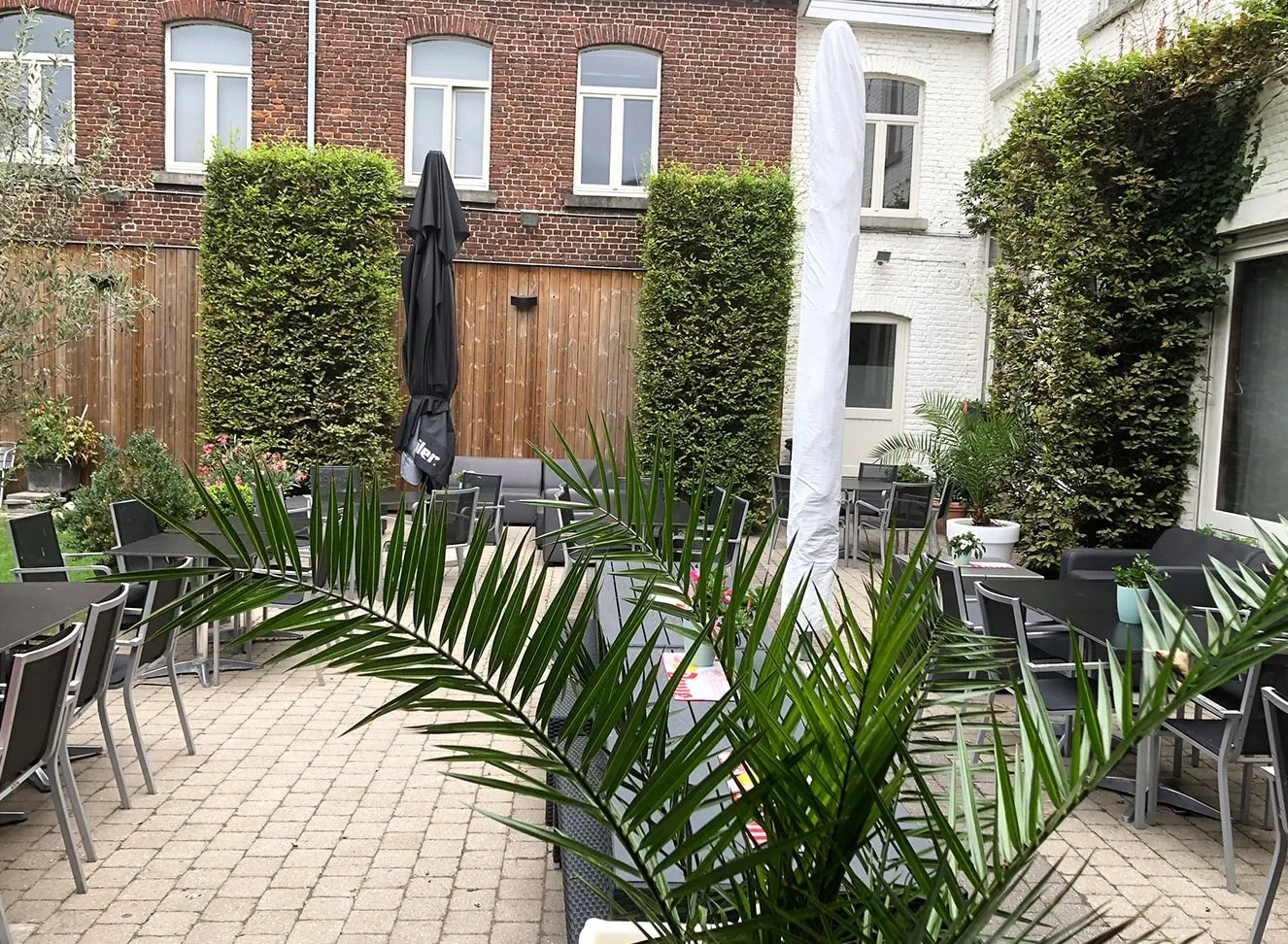 Het open terras met een palm, tafels en stoelen tussen groene hagen
